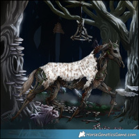 Horse Color:Brown Dun Varnish  and Bay Dun Near Leopard 