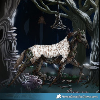 Horse Color:Brown Dun Varnish  and Bay Dun Near Leopard 