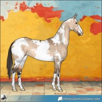 Horse Color:White Spotted Bay Dun