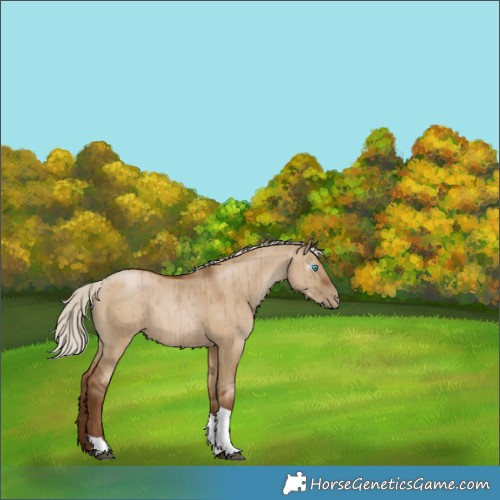 Horse Color:Gray Silver Grullo Pearl Tobiano Brindle 