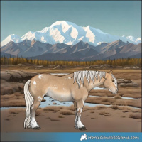 Horse Color:White Spotted Silver Buckskin Dun Sabino 