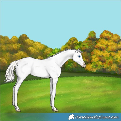Horse Color:White Spotted Chocolate Silver Perlino Ice Splash 