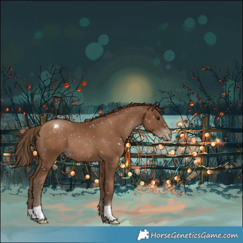 Horse Color:Gray Black Pearl Appaloosa 