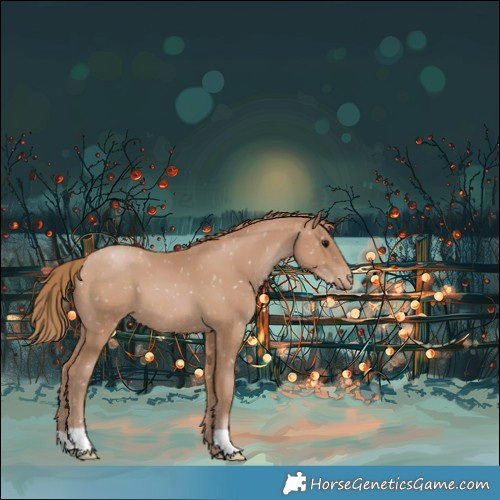 Horse Color:Black Pearl Appaloosa 