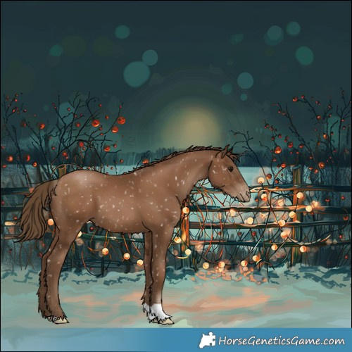 Horse Color:Gray Black Pearl Appaloosa 