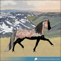 Horse Color:Bay Ice Splash 