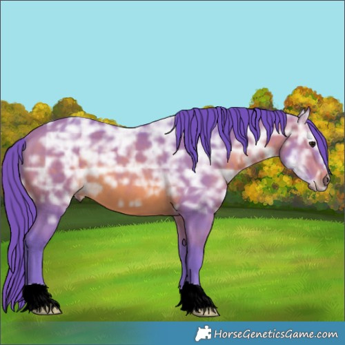 Horse Color:Watercolor Brown Ice 