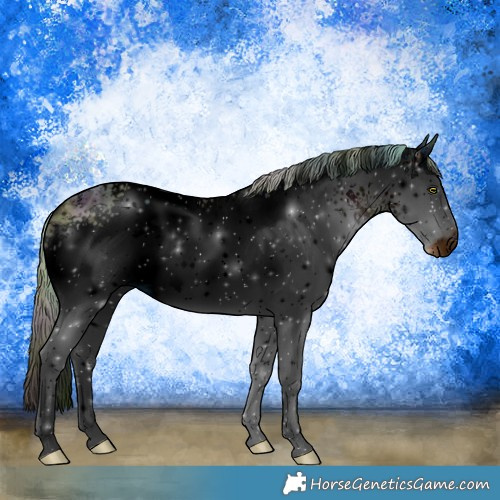 Horse Color:ERROR: UNKNOWN ANOMALY
