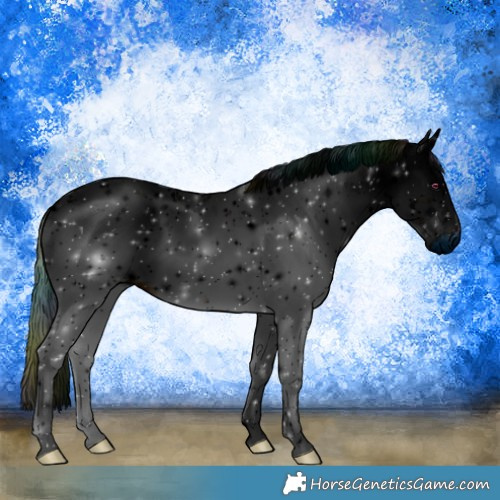 Horse Color:ERROR: UNKNOWN ANOMALY