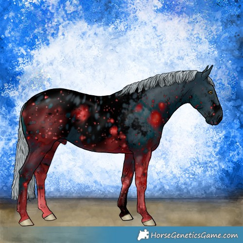 Horse Color:ERROR: UNKNOWN ANOMALY