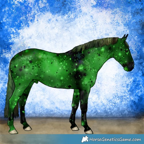 Horse Color:ERROR: UNKNOWN ANOMALY
