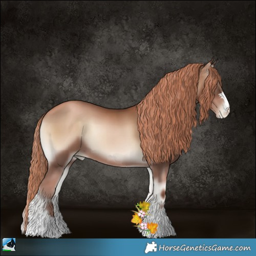 Horse Color:Liver Red Onyx Pearl 