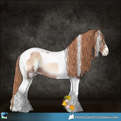 Horse Color:Liver Red Onyx Pearl Sabino Tobiano Rabicano 
