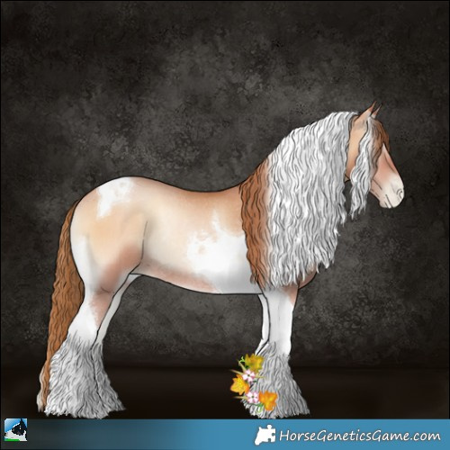 Horse Color:Bay Pearl Onyx Tobiano Rabicano 