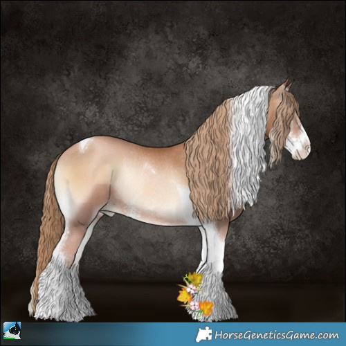 Horse Color:Red Onyx Pearl Sabino Tobiano Rabicano 