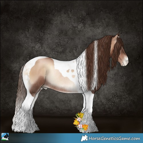 Horse Color:Liver Red Onyx Pearl Tobiano Rabicano 