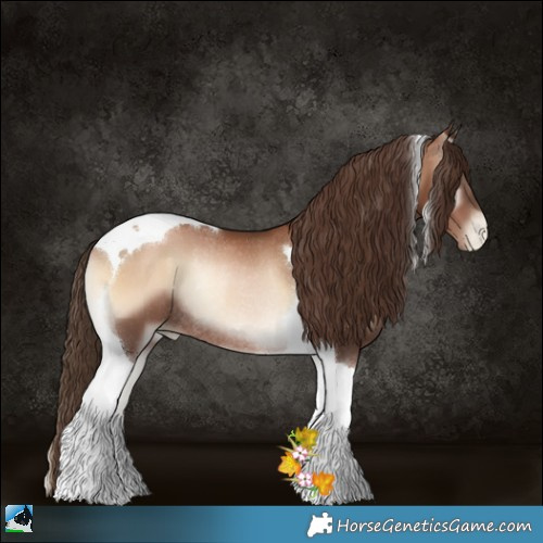 Horse Color:Liver Red Onyx Pearl Tobiano Rabicano 