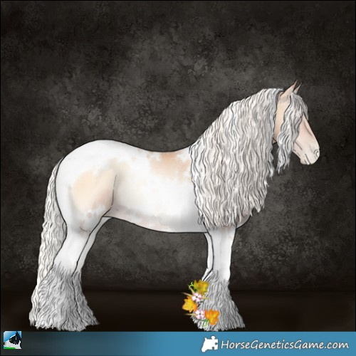Horse Color:White Spotted Silver Amber Champagne Pearl Onyx Tobiano Rabicano 