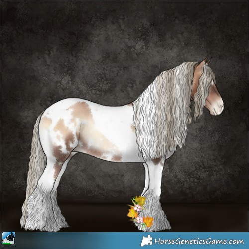 Horse Color:White Spotted Liver Red Onyx Pearl Tobiano Rabicano 