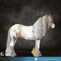 Horse Color:White Spotted Liver Red Onyx Pearl Tobiano Rabicano 