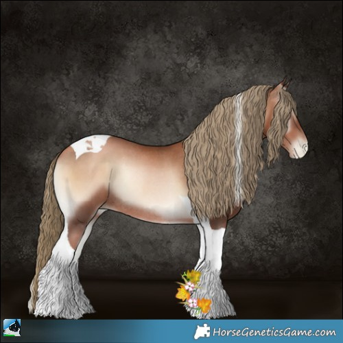 Horse Color:Liver Red Onyx Pearl Tobiano Rabicano 