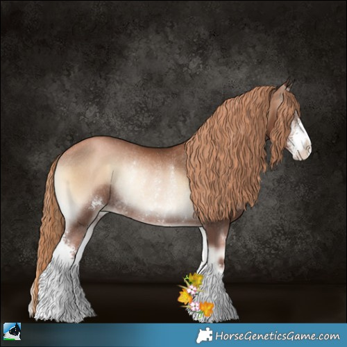 Horse Color:Liver Red Onyx Pearl Sabino Rabicano 