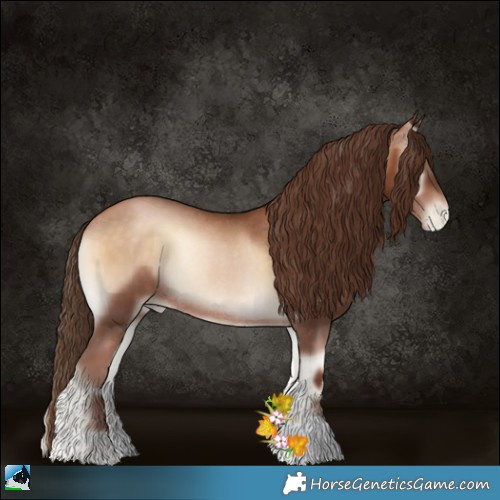 Horse Color:Brown Pearl Onyx Rabicano 