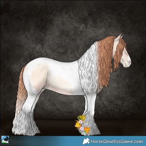 Horse Color:Amber Champagne Pearl Onyx Tobiano 