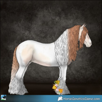 Horse Color:Amber Champagne Pearl Onyx Tobiano
