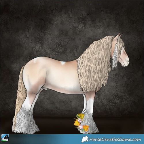 Horse Color:Gold Champagne Pearl Onyx Tobiano Rabicano 
