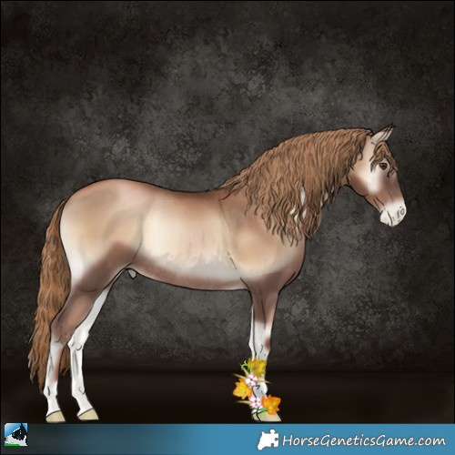 Horse Color:Liver Red Onyx Pearl Rabicano 