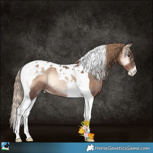 Horse Color:Liver Red Onyx Pearl Tobiano Rabicano 
