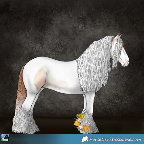 Horse Color:Sable Champagne Pearl Onyx Splash Tobiano Rabicano 