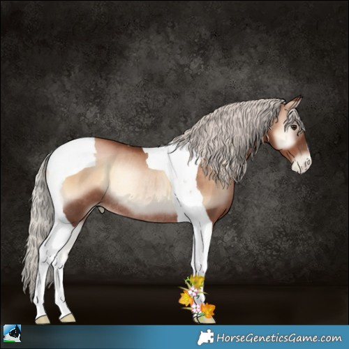 Horse Color:Silver Brown Pearl Onyx Tobiano Rabicano 