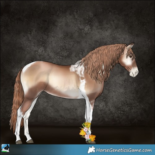 Horse Color:Liver Red Onyx Pearl Tobiano Rabicano 