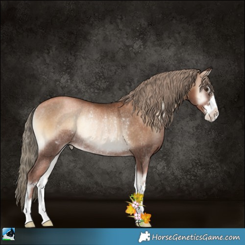 Horse Color:Liver Red Onyx Pearl Rabicano 