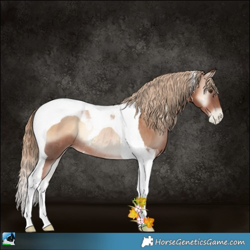 Horse Color:Liver Red Onyx Pearl Tobiano Rabicano 