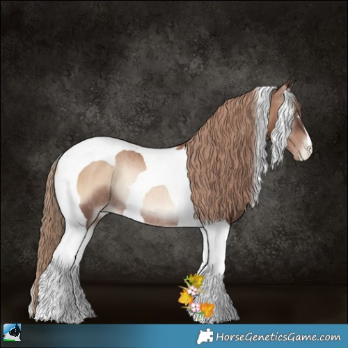 Horse Color:Liver Red Onyx Pearl Tobiano Rabicano 