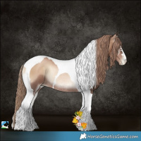 Horse Color:Liver Red Onyx Pearl Tobiano Rabicano