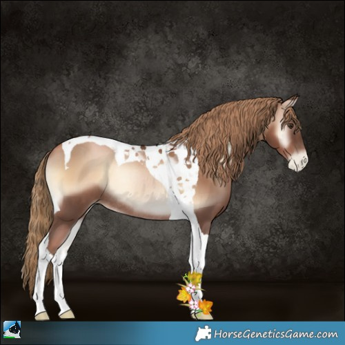 Horse Color:Liver Red Onyx Pearl Tobiano Rabicano 