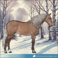 Horse Color:Silver Brown Dun 