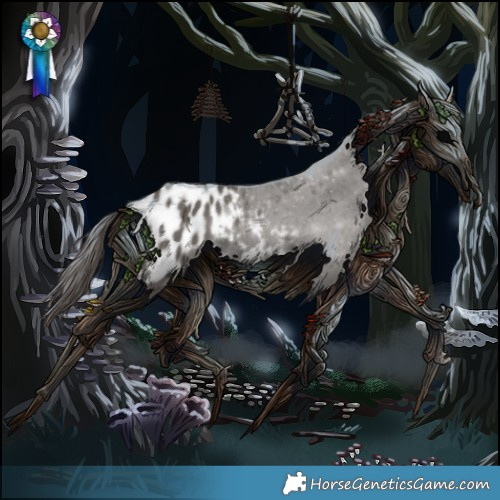 Horse Color:Grullo Appaloosa 