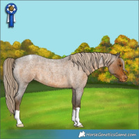Horse Color:Chocolate Palomino Roan Varnish 