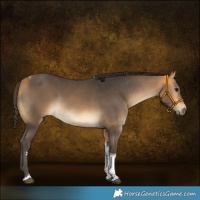 Horse Color:Buckskin Tobiano 