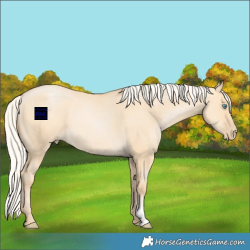 Horse Color:Silver Buckskin Pearl Dun 