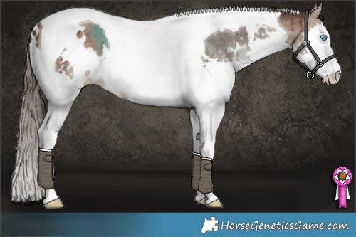 Horse Color:White Spotted Liver Red Dun Splash Tobiano Brindle 