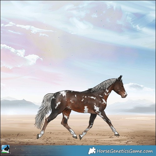 Horse Color:White Spotted Liver Chestnut Mushroom Rabicano 