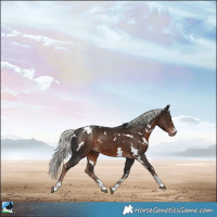 Horse Color:White Spotted Liver Chestnut Mushroom Rabicano 