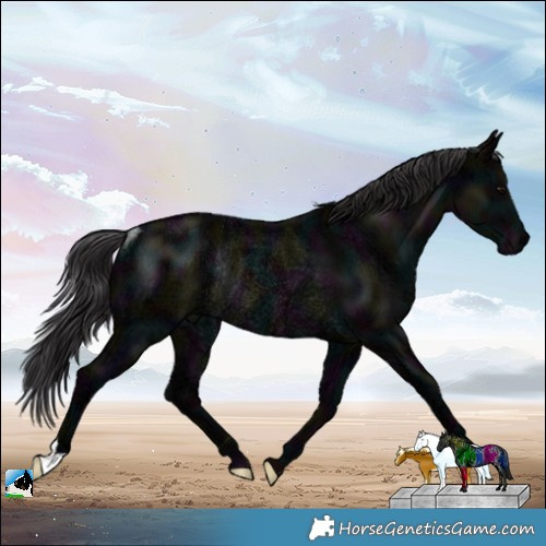 Horse Color:Midnight Smoky Black Ice Rabicano 