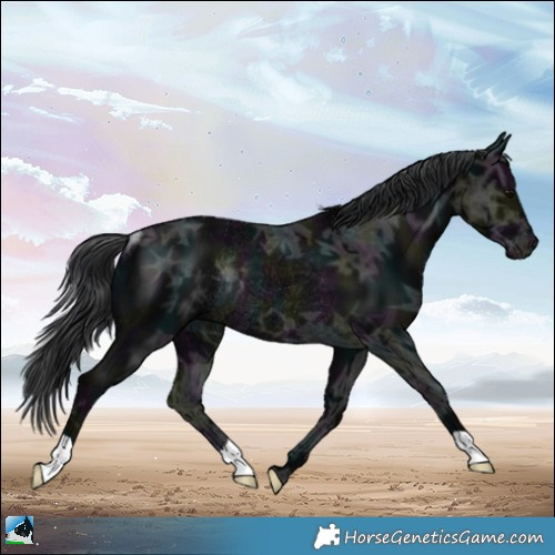 Horse Color:Midnight Black Ice Mushroom Rabicano 